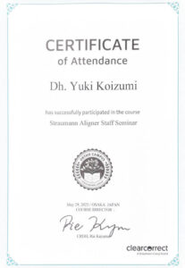 koizumi 02