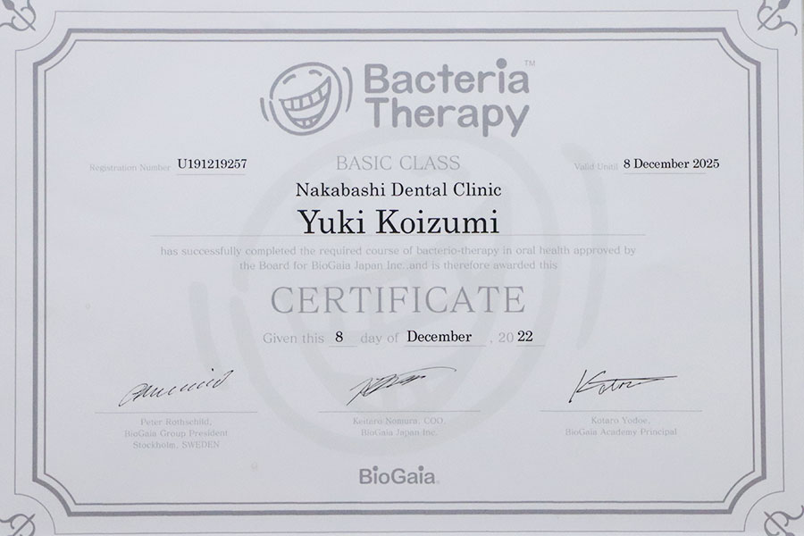 koizumi bacteria
