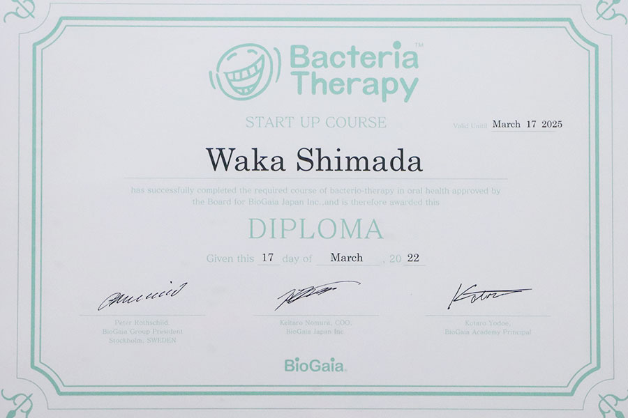 shimada bacteria